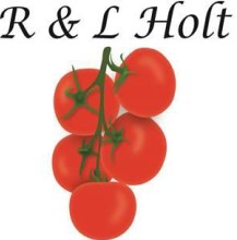 R&D case study R&L Holt logo